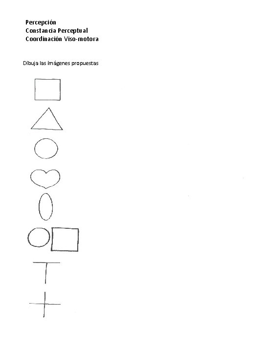 Percepción Constancia Perceptual Coordinación Viso-motora Dibuja las imágenes propuestas 