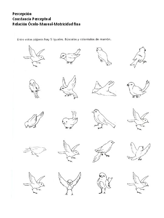 Percepción Constancia Perceptual Relación Óculo-Manual-Motricidad fina 