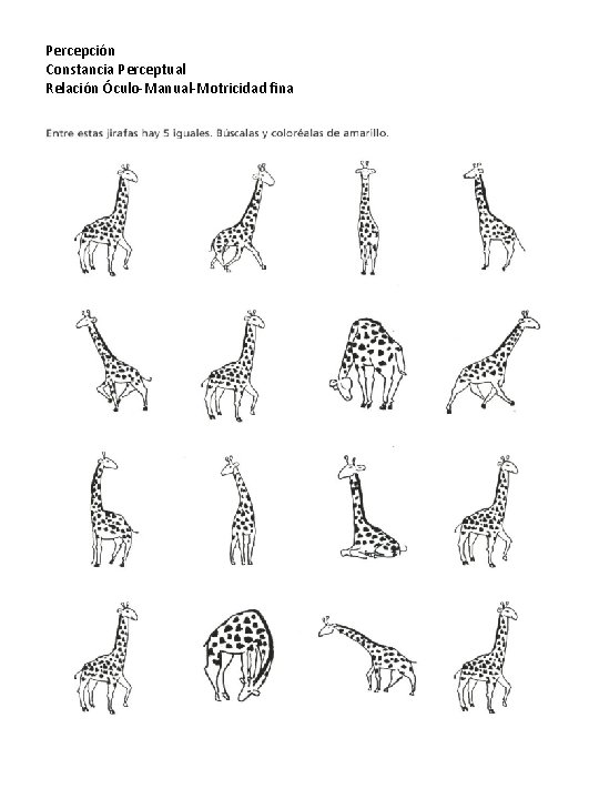 Percepción Constancia Perceptual Relación Óculo-Manual-Motricidad fina 