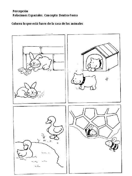 Percepción Relaciones Espaciales. Concepto Dentro-Fuera Colorea lo que está fuera de la casa de