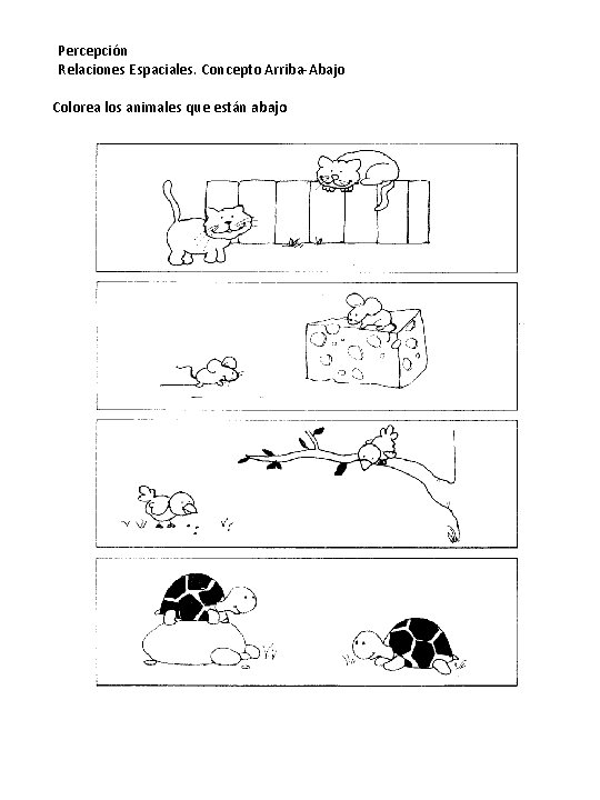 Percepción Relaciones Espaciales. Concepto Arriba-Abajo Colorea los animales que están abajo 