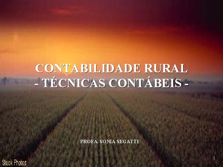 CONTABILIDADE RURAL - TÉCNICAS CONTÁBEIS - PROFA. SONIA SEGATTI 1 