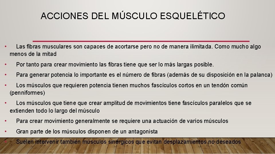 ACCIONES DEL MÚSCULO ESQUELÉTICO • Las fibras musculares son capaces de acortarse pero no