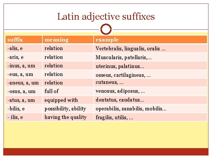 Latin adjective suffixes suffix meaning example -alis, e relation Vertebralis, lingualis, oralis … -aris, Latin adjective suffixes suffix meaning example -alis, e relation Vertebralis, lingualis, oralis … -aris,