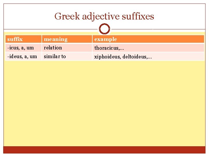 Greek adjective suffixes suffix meaning example -icus, a, um relation thoracicus, … -ideus, a, Greek adjective suffixes suffix meaning example -icus, a, um relation thoracicus, … -ideus, a,