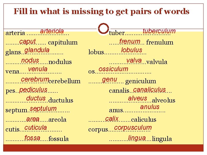 Fill in what is missing to get pairs of words arteriola arteria. . . Fill in what is missing to get pairs of words arteriola arteria. . .