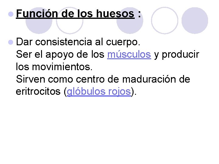 l Función l Dar de los huesos : consistencia al cuerpo. Ser el apoyo