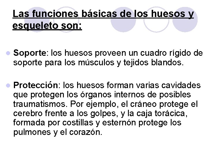 Las funciones básicas de los huesos y esqueleto son: l Soporte: los huesos proveen