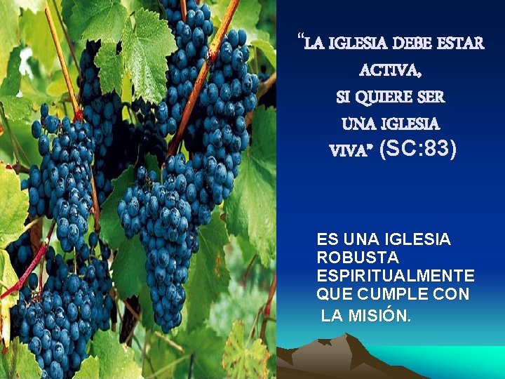 “LA IGLESIA DEBE ESTAR ACTIVA, SI QUIERE SER UNA IGLESIA VIVA” (SC: 83) ES