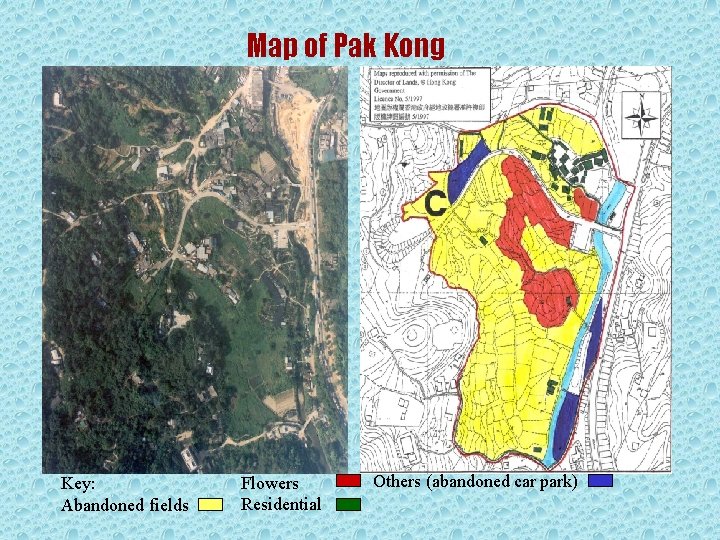 Map of Pak Kong Key: Abandoned fields Flowers Residential Others (abandoned car park) 