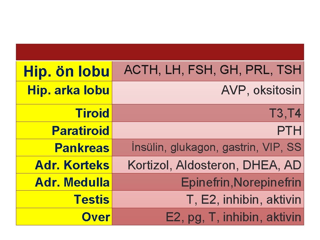 Hip. ön lobu ACTH, LH, FSH, GH, PRL, TSH Hip. arka lobu AVP, oksitosin