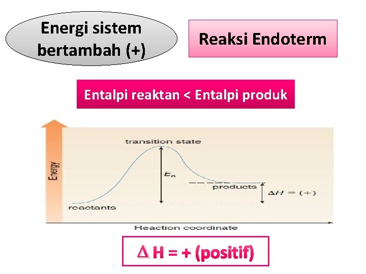 Energi sistem bertambah (+) Reaksi Endoterm Entalpi reaktan < Entalpi produk H = +