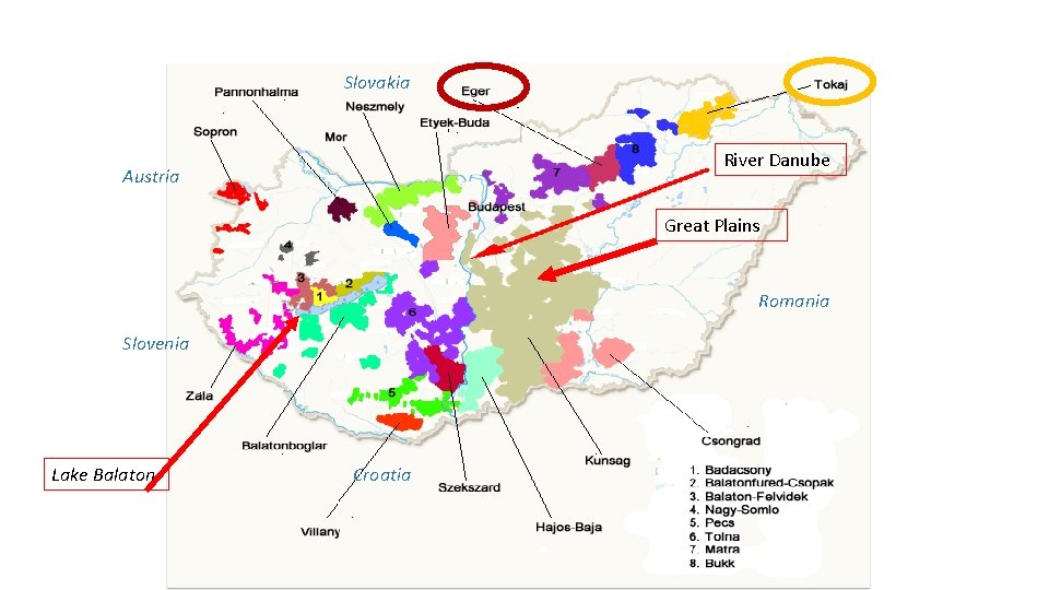 Slovakia River Danube Austria Great Plains Romania Slovenia Lake Balaton Croatia 