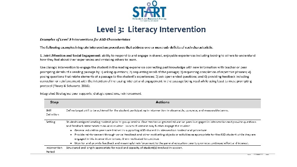 Level 3: Literacy Intervention 