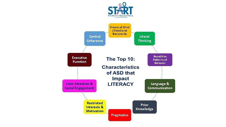 Central Coherence Theory of Mind / Emotional Reciprocity Literal Thinking Executive Function Repetitive Patterns