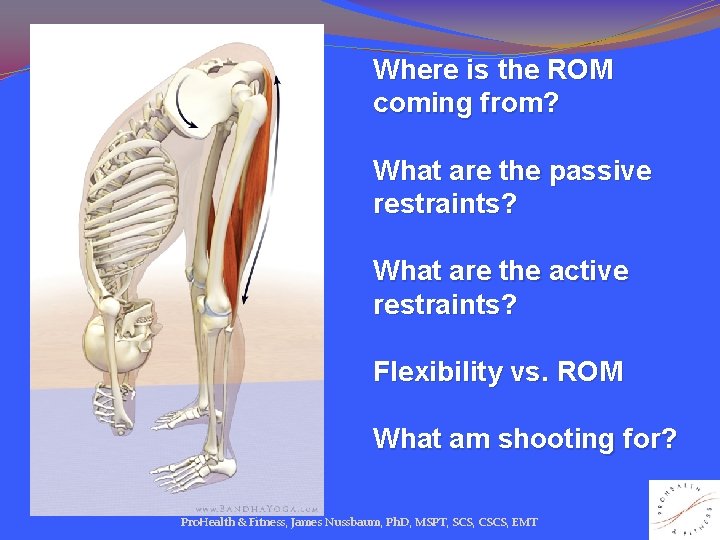 Where is the ROM coming from? What are the passive restraints? What are the