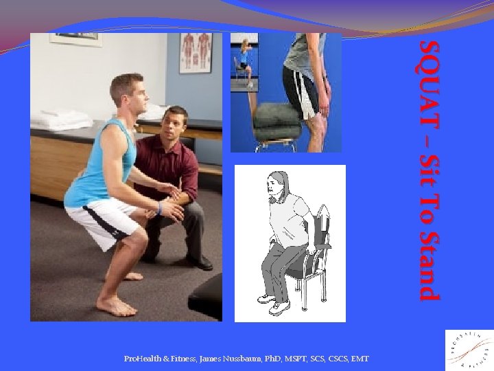 SQUAT – Sit To Stand Pro. Health & Fitness, James Nussbaum, Ph. D, MSPT,
