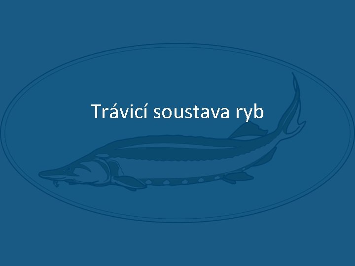 Trávicí soustava ryb 