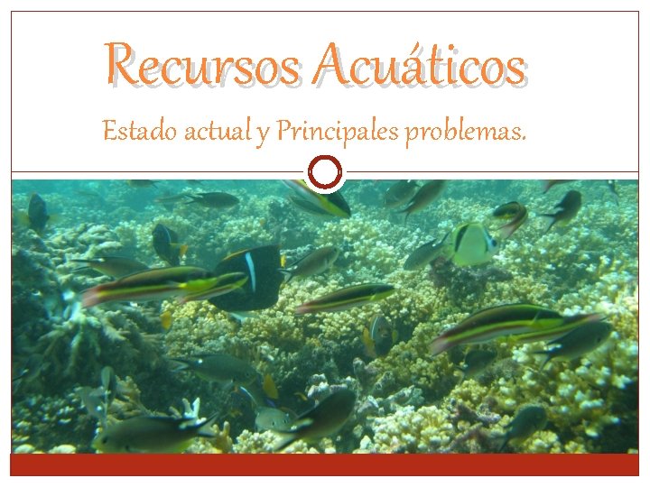 Recursos Acuáticos Estado actual y Principales problemas. 