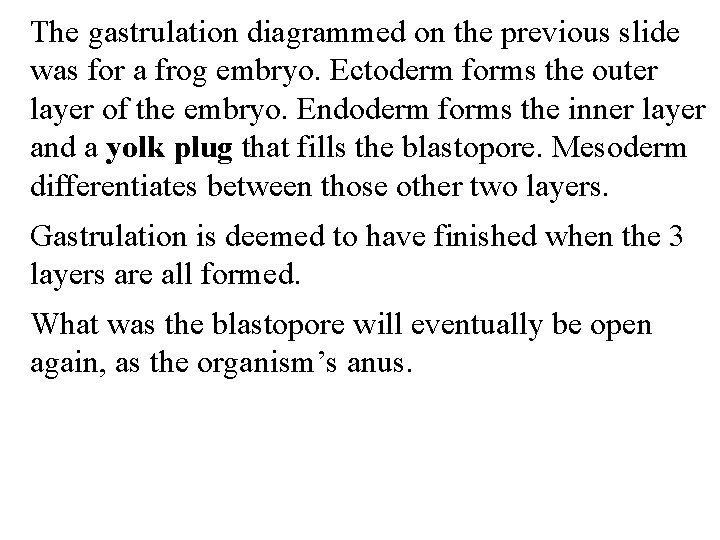 The gastrulation diagrammed on the previous slide was for a frog embryo. Ectoderm forms