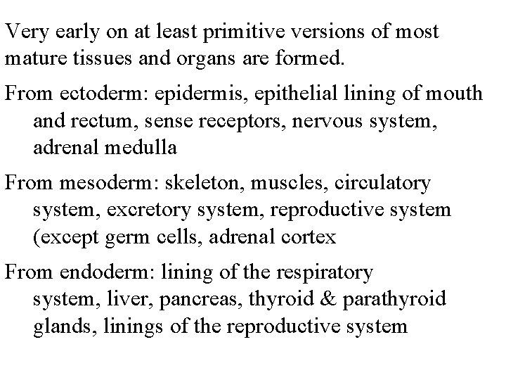 Very early on at least primitive versions of most mature tissues and organs are