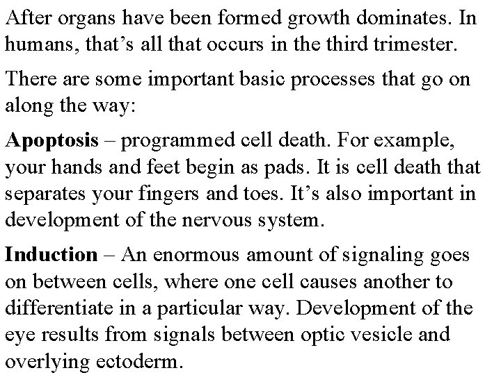 After organs have been formed growth dominates. In humans, that’s all that occurs in