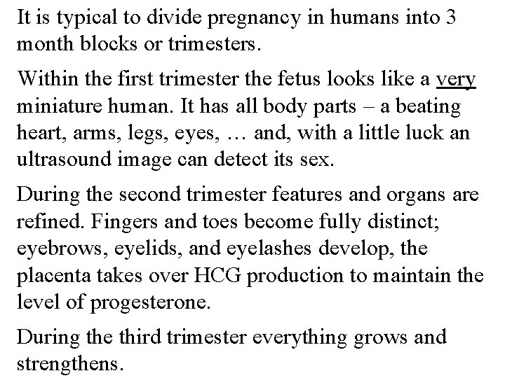 It is typical to divide pregnancy in humans into 3 month blocks or trimesters.