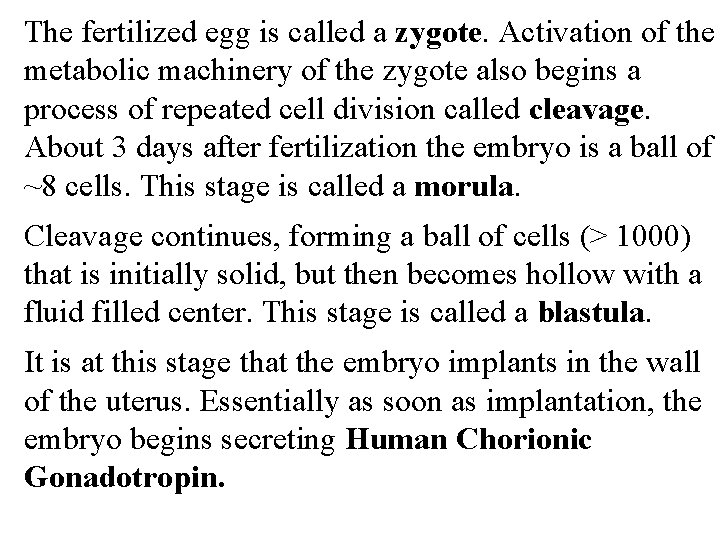 The fertilized egg is called a zygote. Activation of the metabolic machinery of the