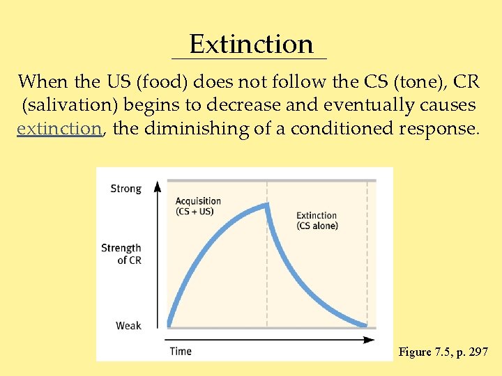 Extinction When the US (food) does not follow the CS (tone), CR (salivation) begins