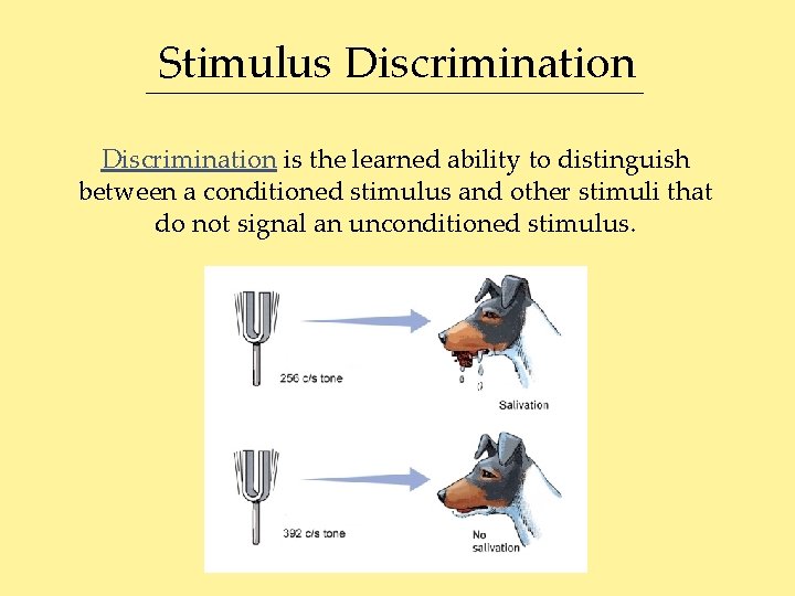 Stimulus Discrimination is the learned ability to distinguish between a conditioned stimulus and other