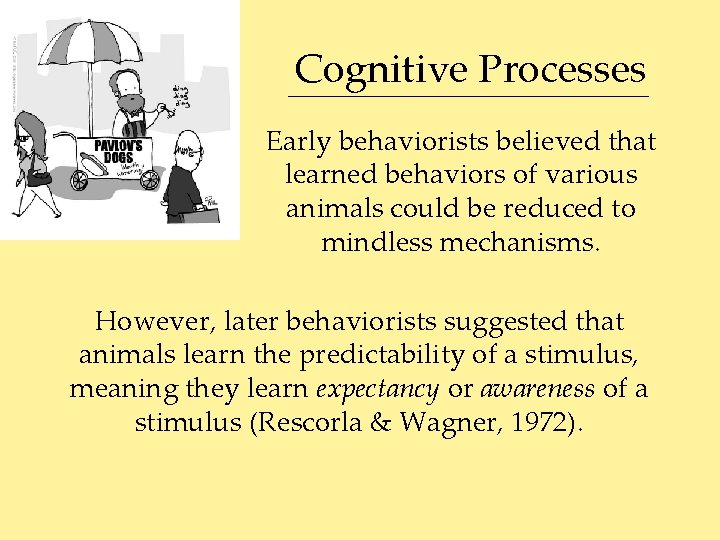 Cognitive Processes Early behaviorists believed that learned behaviors of various animals could be reduced