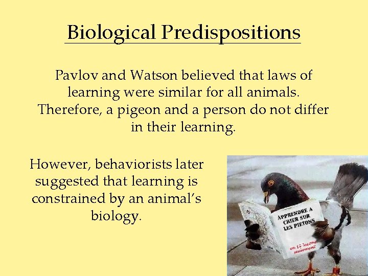 Biological Predispositions Pavlov and Watson believed that laws of learning were similar for all