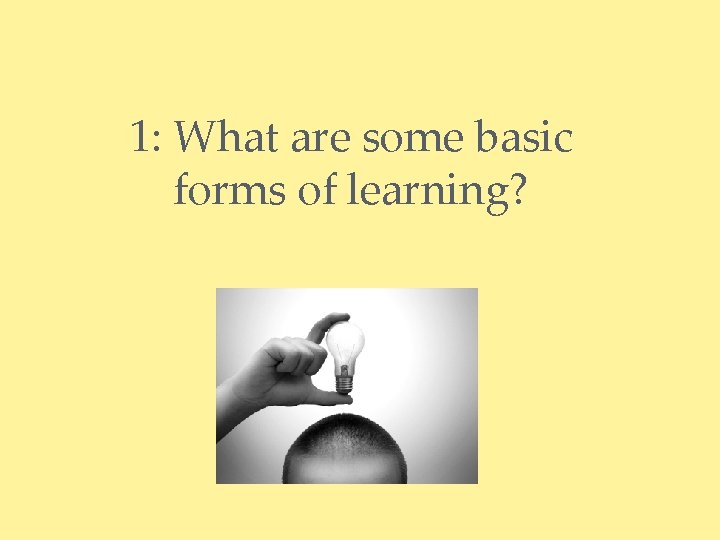 1: What are some basic forms of learning? 