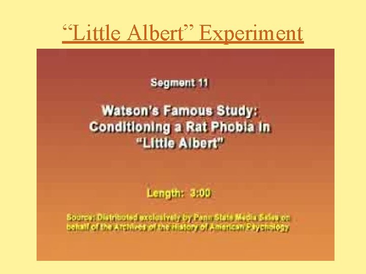 “Little Albert” Experiment 