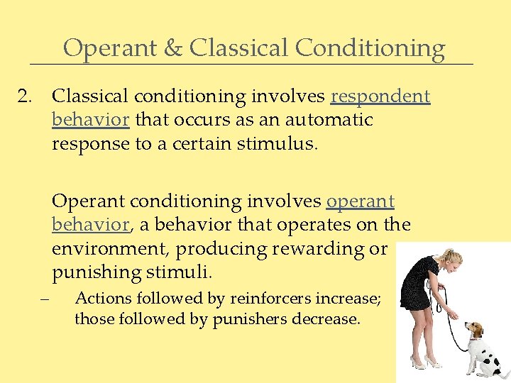 Operant & Classical Conditioning 2. Classical conditioning involves respondent behavior that occurs as an
