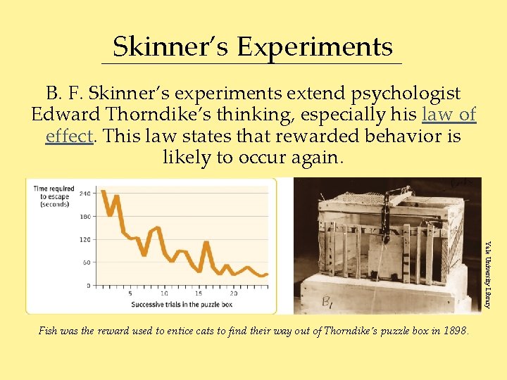Skinner’s Experiments B. F. Skinner’s experiments extend psychologist Edward Thorndike’s thinking, especially his law
