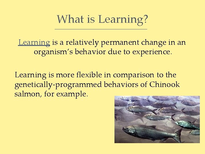 What is Learning? Learning is a relatively permanent change in an organism’s behavior due