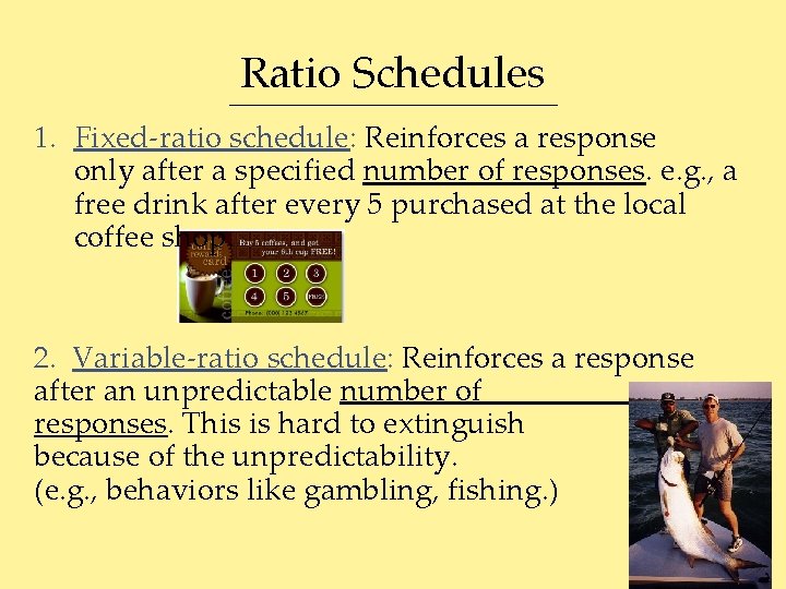 Ratio Schedules 1. Fixed-ratio schedule: Reinforces a response only after a specified number of