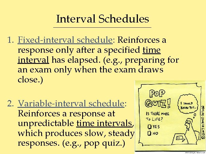 Interval Schedules 1. Fixed-interval schedule: Reinforces a response only after a specified time interval