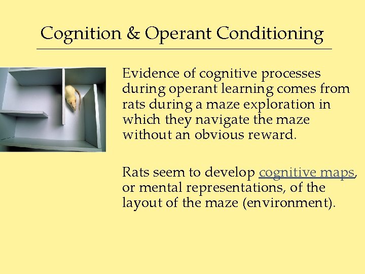 Cognition & Operant Conditioning Evidence of cognitive processes during operant learning comes from rats