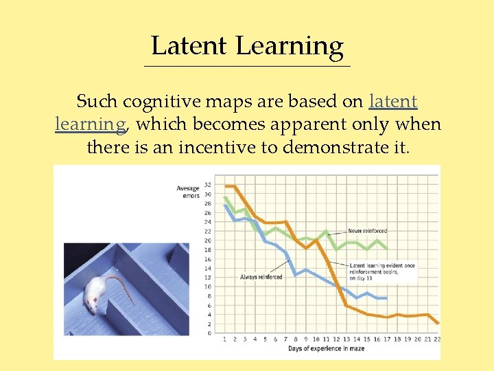 Latent Learning Such cognitive maps are based on latent learning, which becomes apparent only