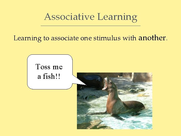 Associative Learning to associate one stimulus with another. Toss me a fish!! 