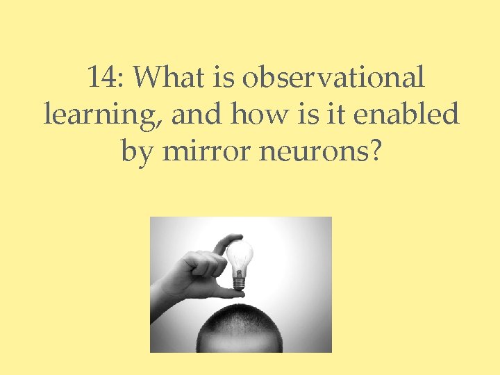 14: What is observational learning, and how is it enabled by mirror neurons? 