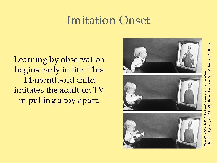 Learning by observation begins early in life. This 14 -month-old child imitates the adult