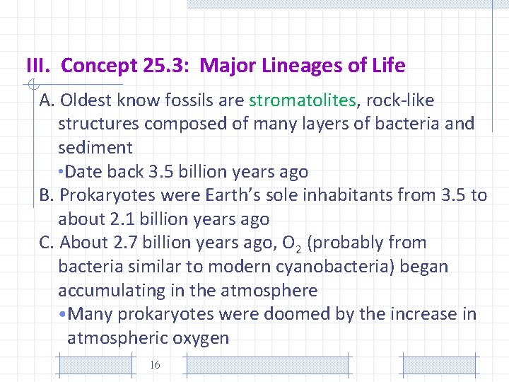 III. Concept 25. 3: Major Lineages of Life A. Oldest know fossils are stromatolites,