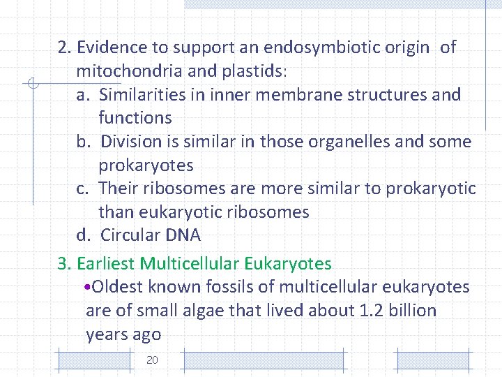 2. Evidence to support an endosymbiotic origin of mitochondria and plastids: a. Similarities in