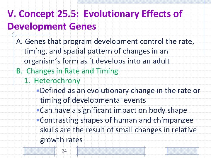 V. Concept 25. 5: Evolutionary Effects of Development Genes A. Genes that program development