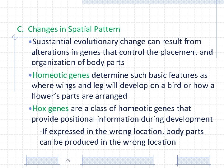 C. Changes in Spatial Pattern • Substantial evolutionary change can result from alterations in