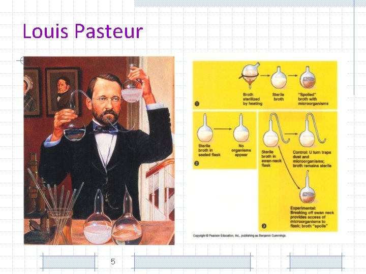 Louis Pasteur 5 