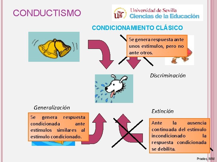 CONDUCTISMO CONDICIONAMIENTO CLÁSICO Se genera respuesta ante unos estímulos, pero no ante otros. Discriminación